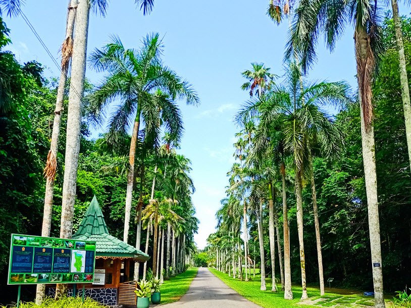 Gampaha Botanical Garden, Sri Lanka